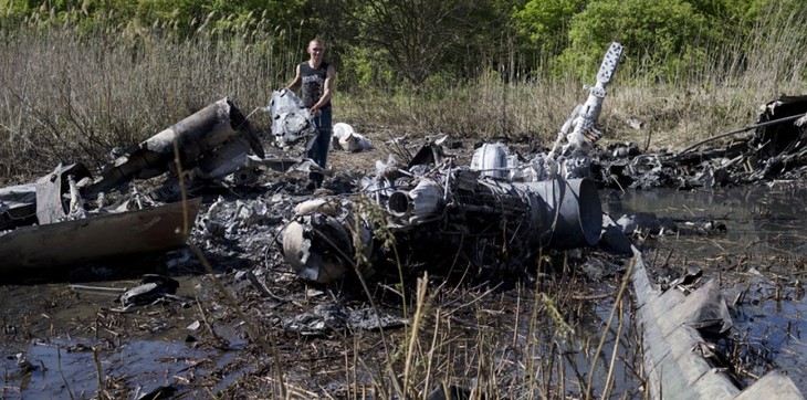 Ukraine : un plan de paix voué à l’échec - ảnh 1