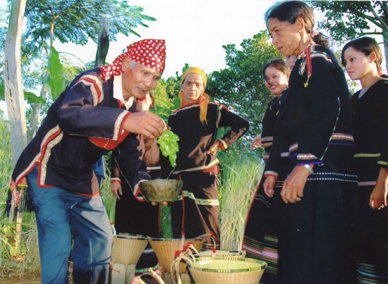 Les M’Nong des Hauts-Plateaux du Centre - ảnh 3