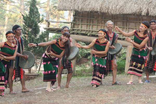 Les M'Nong sous l’aspect culturel - ảnh 1