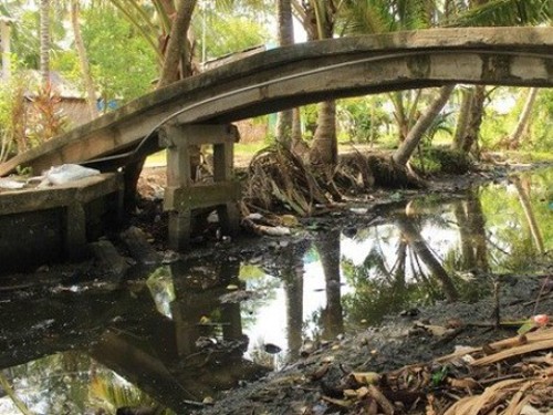  Rapprocher les entreprises japonaises et vietnamiennes dans le domaine de l’environnement - ảnh 1