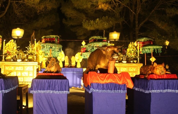 A propos du festival de Hue - ảnh 7