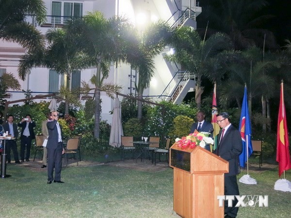 Célébration de la fête nationale du Vietnam à l’étranger - ảnh 1