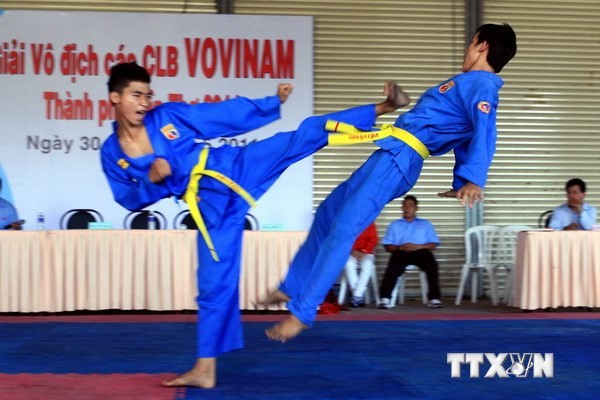 Ouverture du 5e Championnat des meilleures équipes du Vovinam - ảnh 1