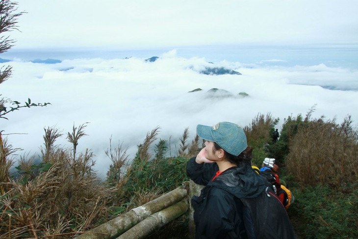 La cordillère Hoang Lien Son - ảnh 9