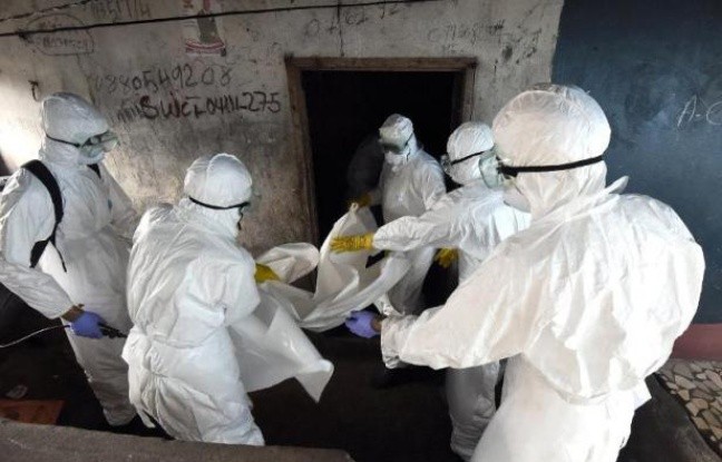 Ebola: L'Espagne promet de la transparence, Washington parle de crise mondiale - ảnh 1