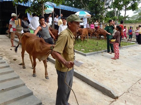 Cadeaux du président Truong Tan Sang aux foyers pauvres de Quang Tri - ảnh 1