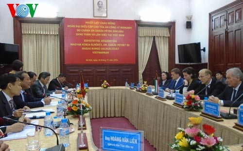 Le Vietnam et la Hongrie renforcent leur coopération judiciaire - ảnh 1