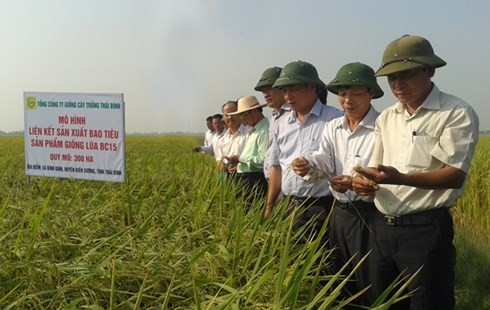 Pour le développement agricole du Delta du Mékong - ảnh 1