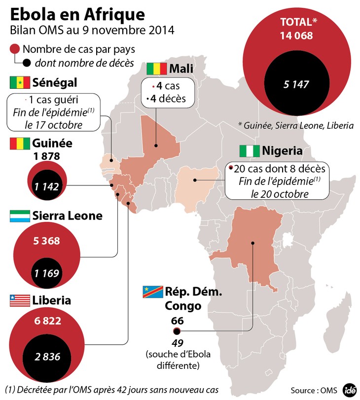 Ebola: Les infirmières américaines demandent de vraies précautions contre le virus - ảnh 2