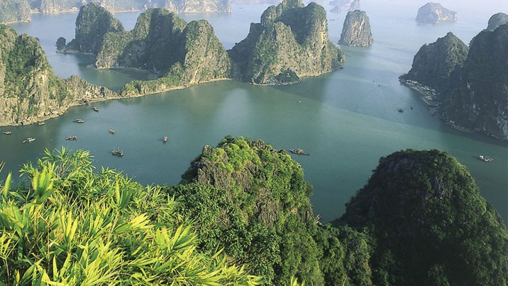 Tam Coc-Bich Dong, la baie d’Halong terrestre - ảnh 4