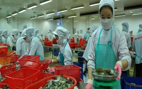 Des opportunités d’exportation du Vietnam aux Etats-Unis - ảnh 1