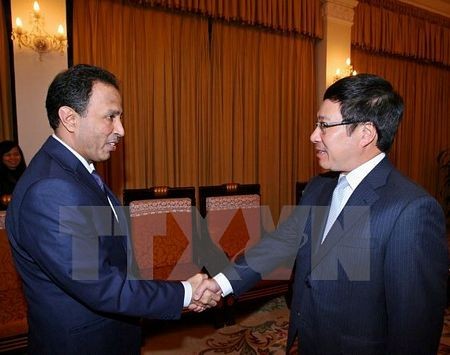 Pham Binh Minh reçoit l’ambassadeur des Emirats arabes unis - ảnh 1