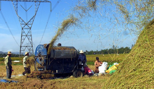 Le district Hoà Vang, fer de lance à Dà Nang - ảnh 1