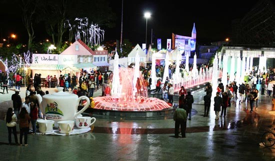 « Paradis hivernal » à Dalat - ảnh 1