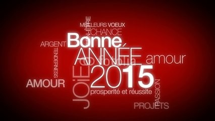 2014 - une année pleine d’émotions - ảnh 4