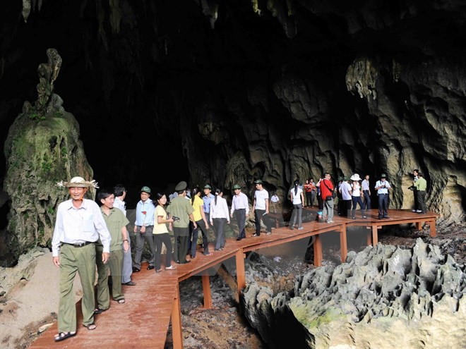 La fréquentation touristique en hausse au jour de l’An - ảnh 1