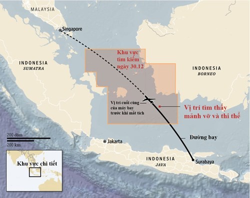 Crash du vol AirAsia : deux grandes parties de l'avion repérées en mer - ảnh 1