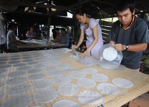 Première usine de fabrication de coco à Ben Tre - ảnh 1