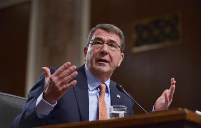 Etats-Unis: Ashton Carter favorable à la livraison d'armes à l'Ukraine - ảnh 1