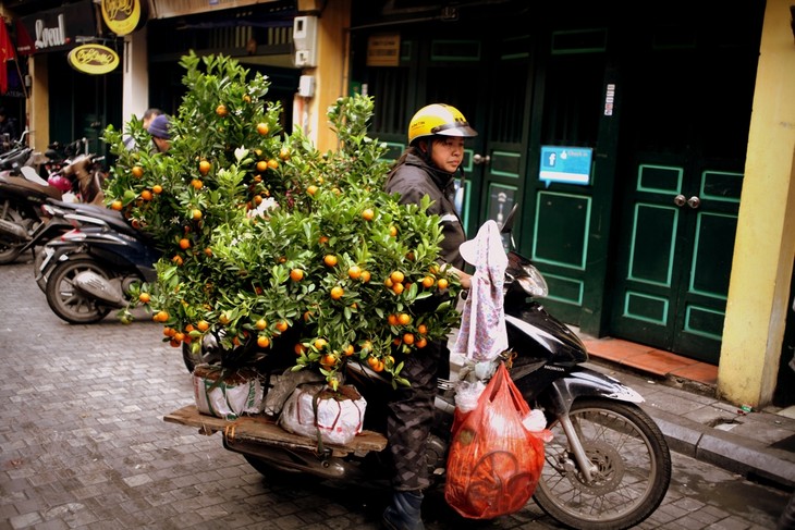 Un air printannier au cœur de Hanoi - ảnh 4