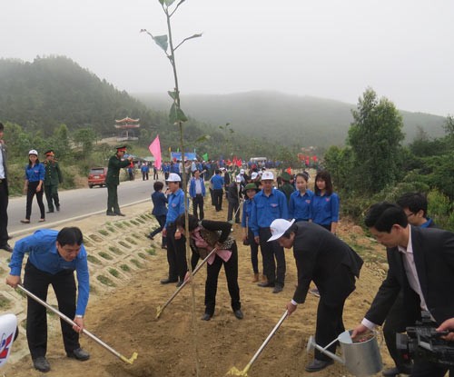 L’union de la jeunesse communiste Ho Chi Minh pour la fête de plantation d’arbres - ảnh 1