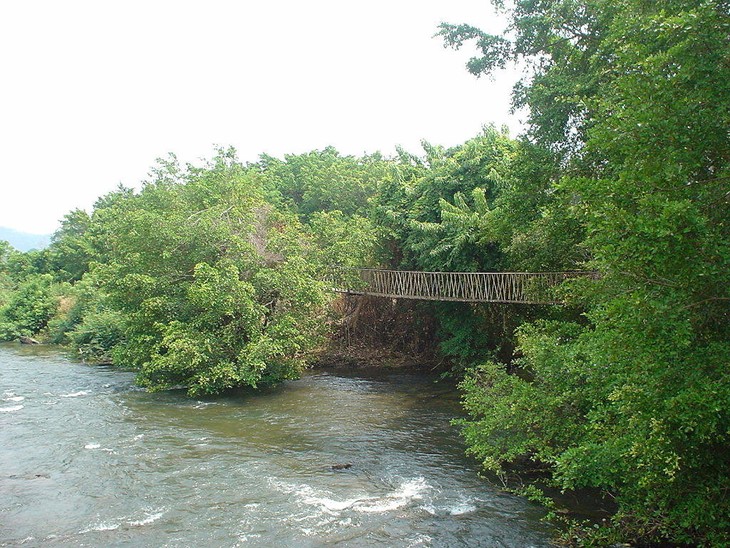 Le parc national de Yok Don - ảnh 2