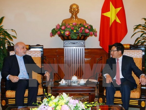 Consultation politique Vietnam-Iran - ảnh 1