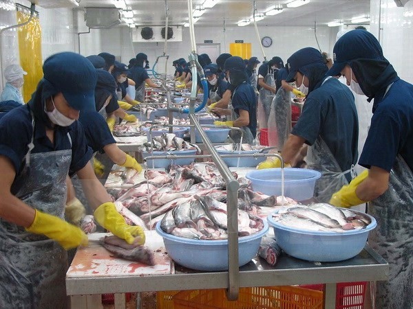 Colloque sur l'exportation des pangasius vietnamiens vers l’UE  - ảnh 1