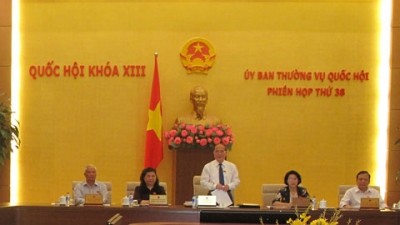 Suite de la 38ème session du comité permanent de l’Assemblée nationale - ảnh 1