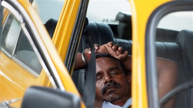 La canicule fait plus de 500 morts en Inde - ảnh 1