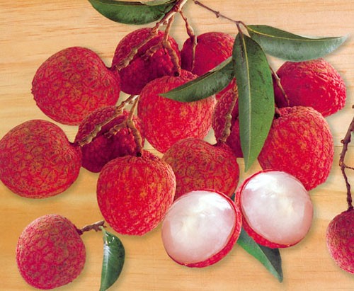 Longane et litchi, deux fruits exotiques raffinés - ảnh 3