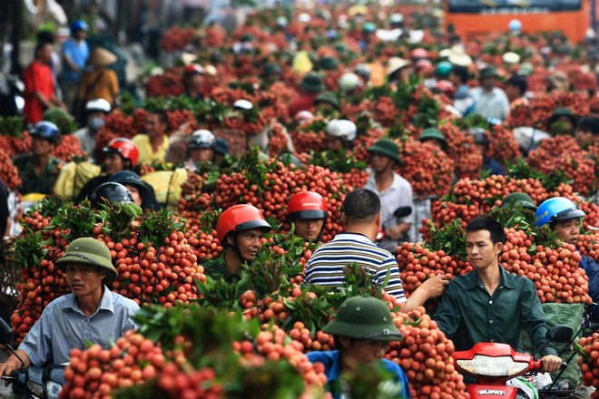 Longane et litchi, deux fruits exotiques raffinés - ảnh 4