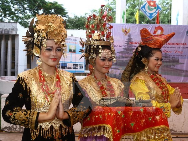 Journée culturelle indonésienne à Can Tho - ảnh 1