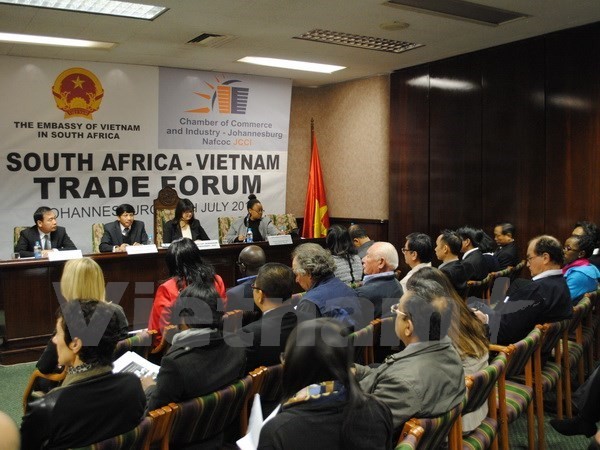 3ème réunion du Forum de partenariat intergouvernemental Vietnam-Afrique du Sud - ảnh 1