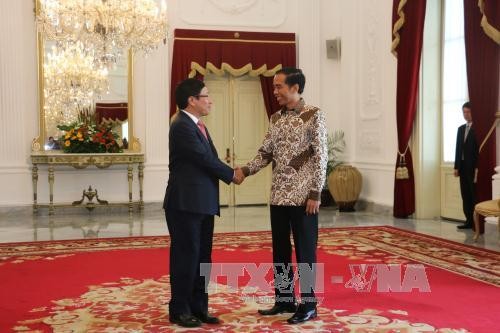 Joko Widodo préoccupé des récentes évolutions en mer Orientale - ảnh 1