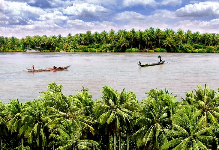 Les fameux cocotiers de Ben Tre - ảnh 2