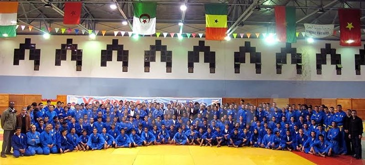 La culture vietnamienne présentée au Championnat de vovinam 2015 - ảnh 1