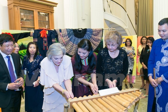 Soirée «Couleur vietnamienne» à New York - ảnh 1