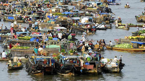 Colloque sur le développement socio-économique du Delta du Mékong - ảnh 1