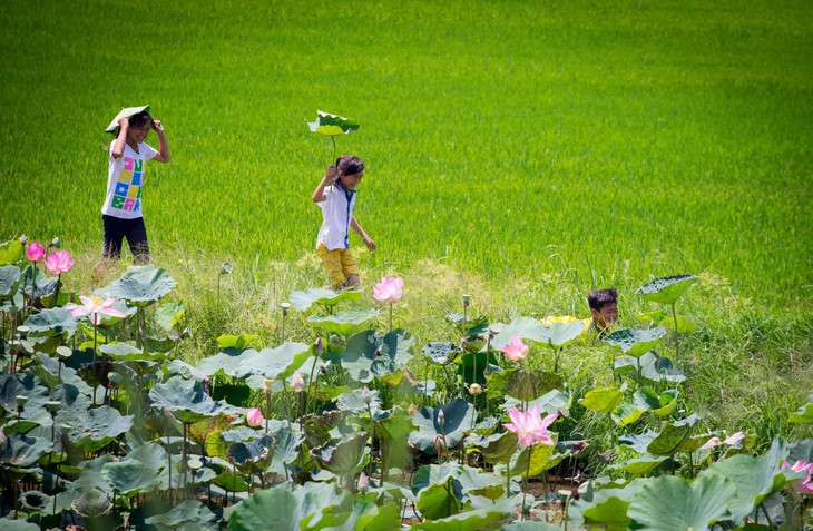 Rendez-vous au pays du lotus - ảnh 2