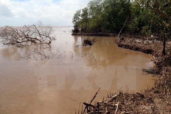 Vietnam-UE : partage d’expériences dans l’adaptation au changement climatique - ảnh 1