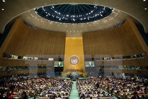 Sommet de l’ONU: le Vietnam en position de force - ảnh 1