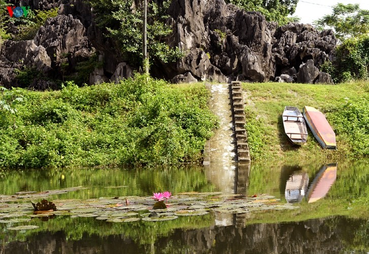 Début de la saison des fleurs de nénuphars sur le ruisseau Yên - ảnh 10