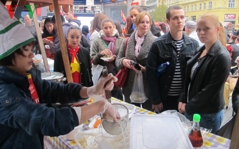 Journée de la culture vietnamienne à Brno (République tchèque) - ảnh 1