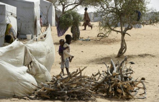 Boko Haram: un attentat-suicide frappe le Cameroun, après le Tchad - ảnh 1