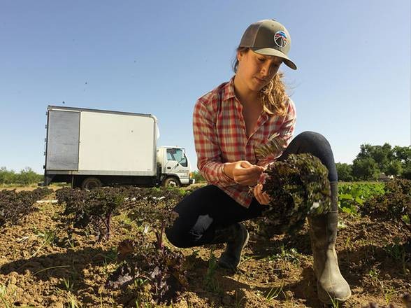 UE: 111 millions d’euros pour promouvoir les ventes de produits agricoles - ảnh 1