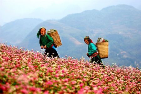 La tour du  drapeau de Lung Cu - ảnh 2