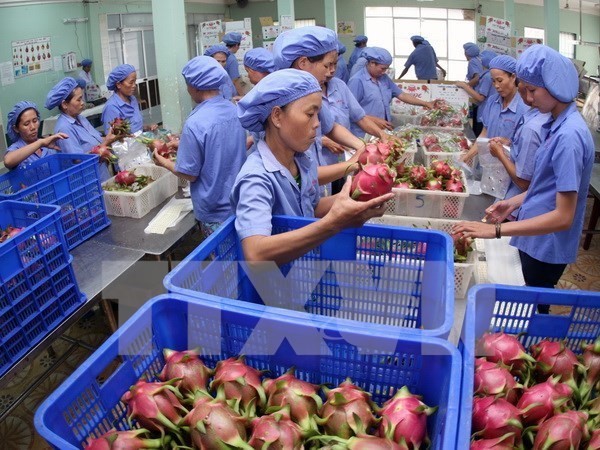 Renforcer la coopération agricole Vietnam - Ukraine - ảnh 1