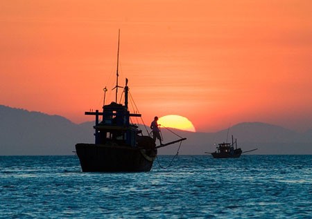 Bientôt le congrès sur la mer d’Asie de l’Est à Dà Nang  - ảnh 1