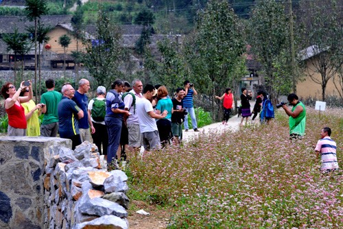 Croissance impressionnante du nombre de touristes étrangers au Vietnam - ảnh 1